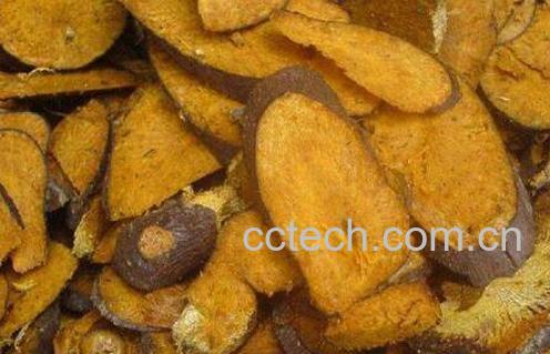 虎杖的功效与作用及食用方法-0