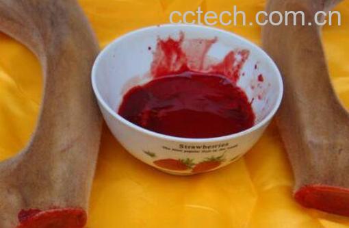 鹿血的功效与作用及食用禁忌-1