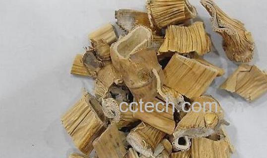 芦根的功效与作用 芦根的食用方法-1