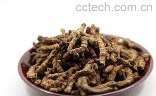 炒僵蚕的功效与作用及常见用法-0