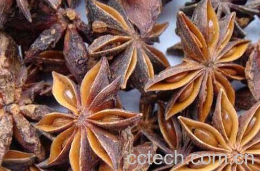 大茴香的功效与作用及食用方法-0