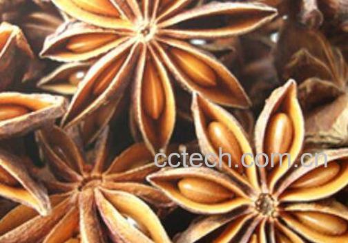 大茴香的功效与作用及食用方法-1