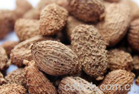 砂仁的功效与作用 砂仁的妙用-1