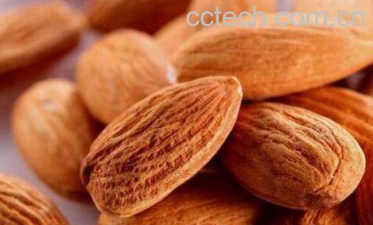 炒苦杏仁的作用与功效-1