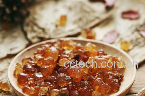 女性吃桃胶有什么好处-0