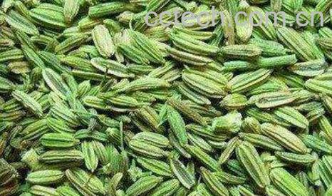 大茴香籽的功效与作用-1