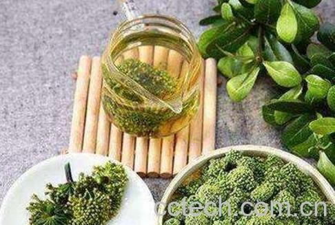 三七花泡水喝的功效-1