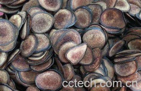 血茸的功效与作用 血茸适合什么人群吃-1