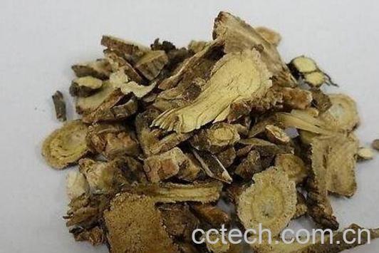 前胡的功效与作用及食用方法-0