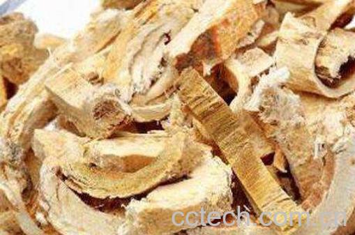 桑白皮的功效与作用及药用价值-1