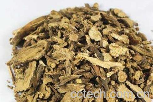 前胡的功效与作用及食用方法-1