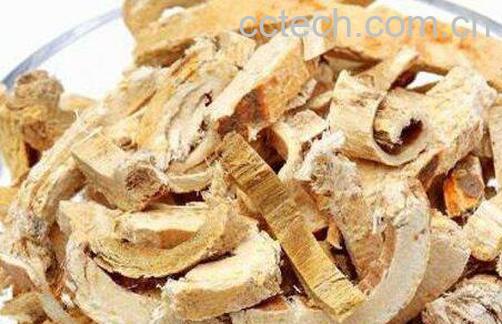 蜜桑白皮的功效与作用-0