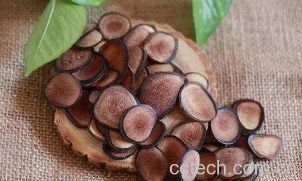 鹿茸的功效-1