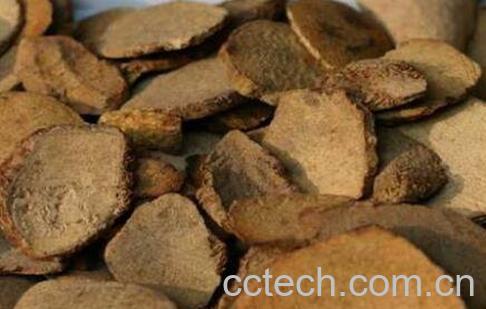 三棱的功效与作用及药用价值-0