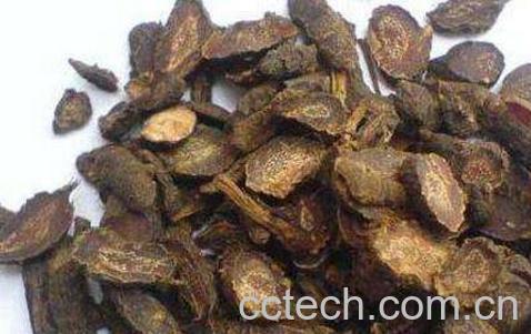 三棱的功效与作用及药用价值-1