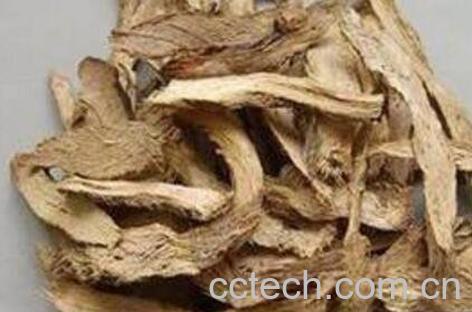 千年健的功效与作用及副作用-1