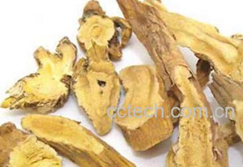 秦艽的功效与作用及药用价值-0