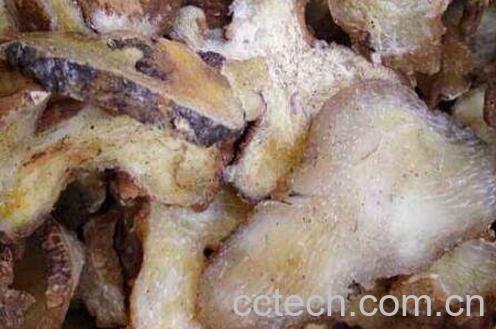 鸡头参的功效与作用-0