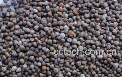 炒紫苏子的功效与作用及药用价值-0