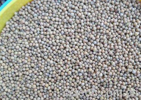 白芥子的功效与作用及食用方法-1