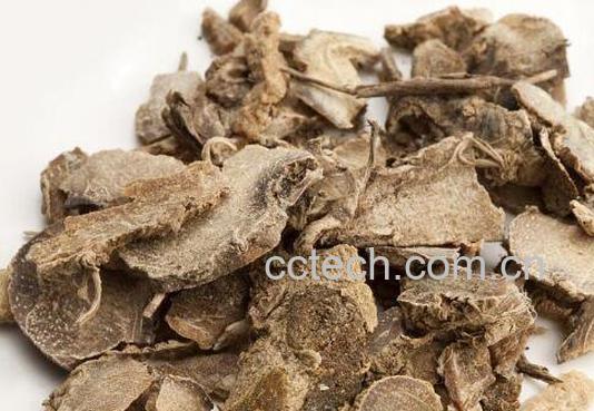 莪术的功效与作用及药用价值-1