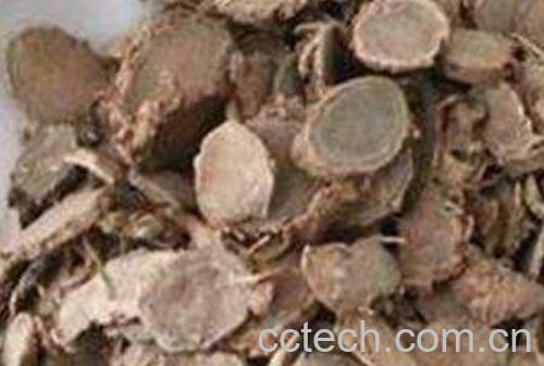 莪术的功效与作用及药用价值-0