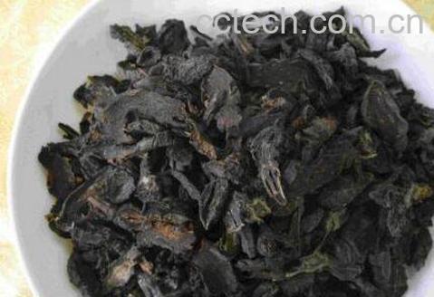 草乌的功效与作用及药用价值-1