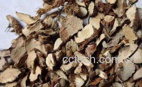 石菖蒲的功效与作用及药用价值-1