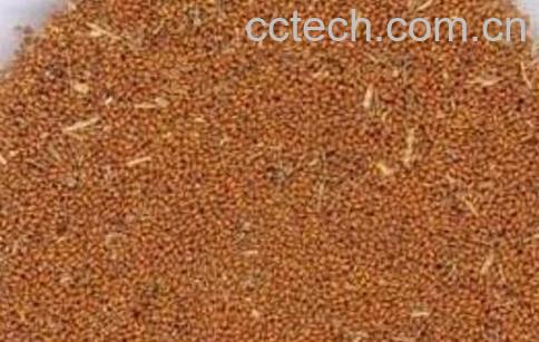 葶苈子的功效与作用及药用价值-0