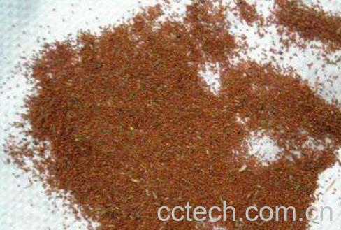 葶苈子的功效与作用及药用价值-1