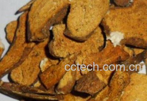 炒白术的功效与作用及食用禁忌-0