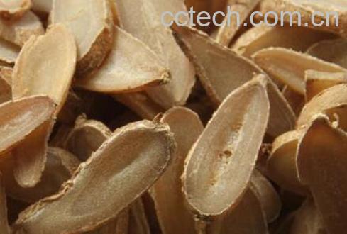 郁金的功效与作用 郁金的食用方法-0