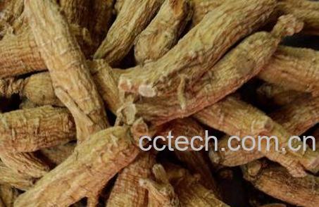 赤芍的功效与作用及药用价值-0