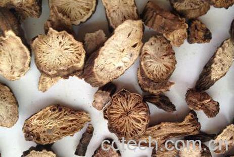 赤芍的功效与作用及药用价值-1