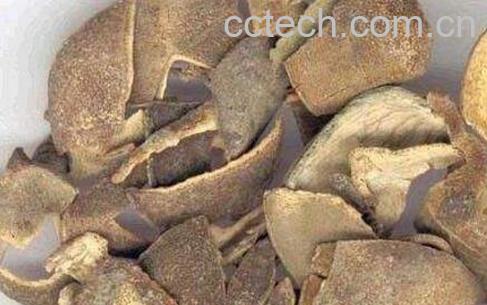 青皮的功效与作用及食用方法-0