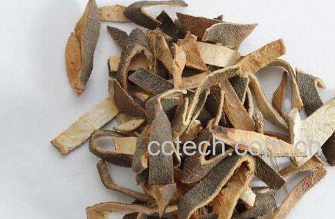 青皮的功效与作用及食用方法-1