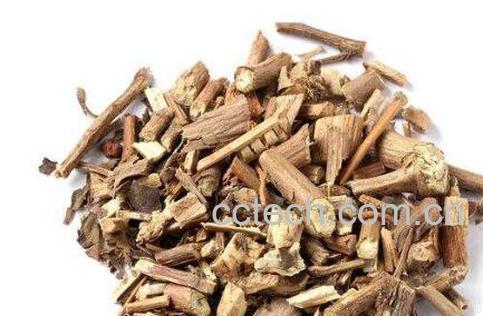 广藿香的功效与作用及药用价值-0