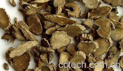 川牛膝是什么 川牛膝的功效与作用-0