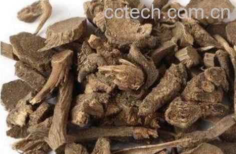 川牛膝是什么 川牛膝的功效与作用-1