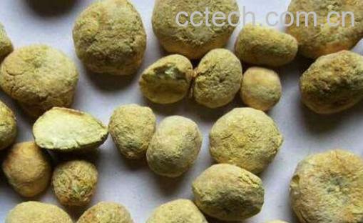 姜半夏的功效与作用-0