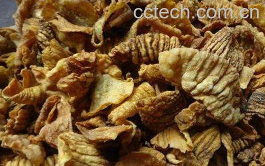 炒鸡内金的功效与作用-0