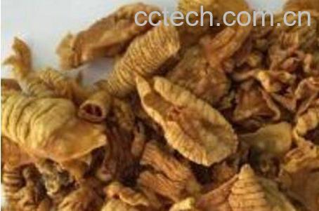 炒鸡内金的功效与作用-1