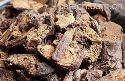 地榆根的功效与作用及药用价值-0