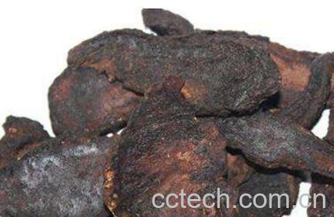 地榆根的功效与作用及药用价值-1