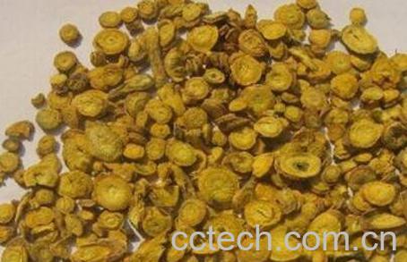 酒黄芩的功效与作用-0