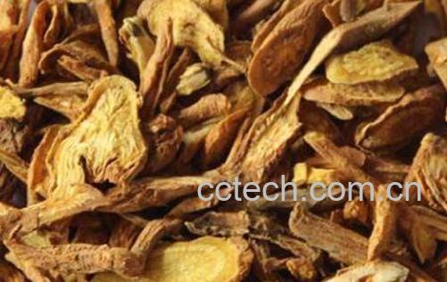 酒黄芩的功效与作用-1