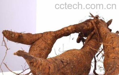 葛藤根的作用与功效-0