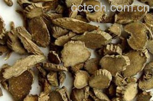 川牛膝的功效与作用及药用价值-0