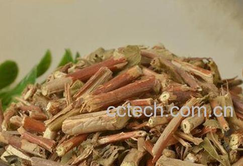 忍冬藤如何吃 忍冬藤的食用方法-0