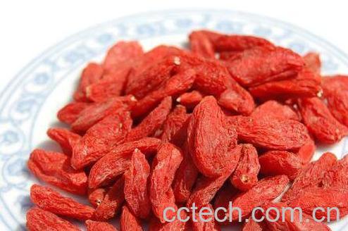 枸杞子泡水喝的功效与害处-0